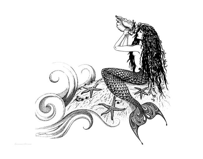 650x511 Mermaid Blowing A Conch Shell By Savanna Redman - Conch Shell Sketch