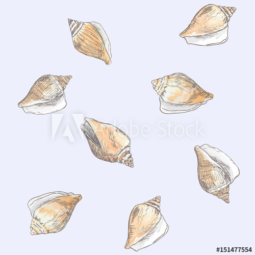 500x500 Dog Conch , Wing Shell Hand Drawn Sketch Vector. Sea Food - Conch Shell Sketch