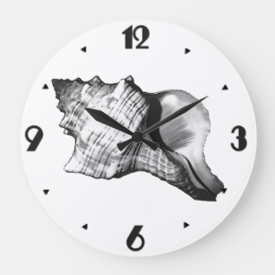307x307 Conch Shell Sketch Shades Gifts On Zazzle - Conch Sketch