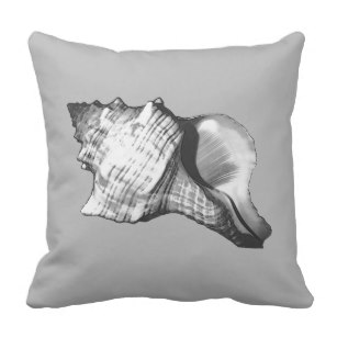 307x307 Conch Shell Sketch Shades Home Furnishings Amp Accessories Zazzle - Conch Sketch