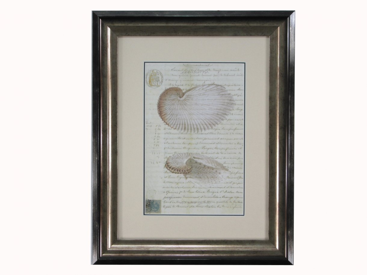 1220x915 Conch Sketch 1 Gallery - Conch Sketch