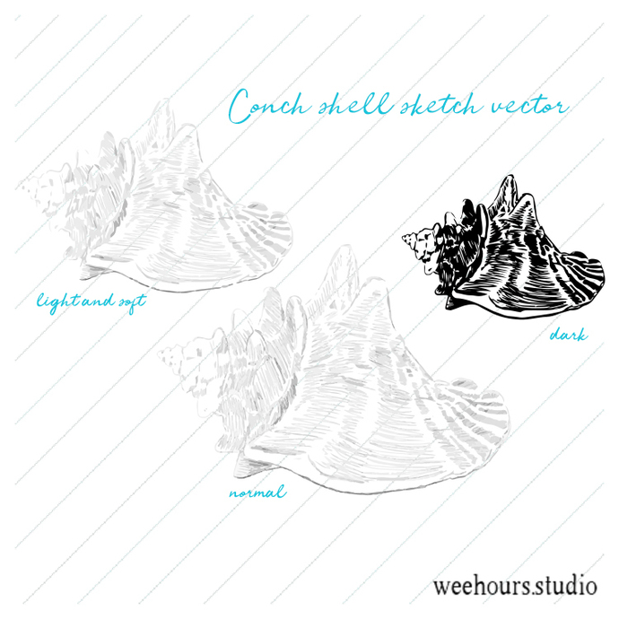 690x690 Conch Shell Sketch, Vector For Digital By Wee Hours Studio On Zibbet - Conch Sketch