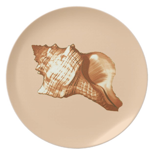 630x630 Conch Shell Sketch - Conch Sketch