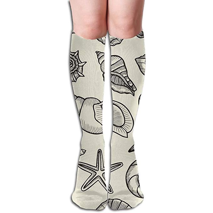 679x679 Unisex Knee High Long Socks Conch Sketch Over Calf Casual Sport - Conch Sketch
