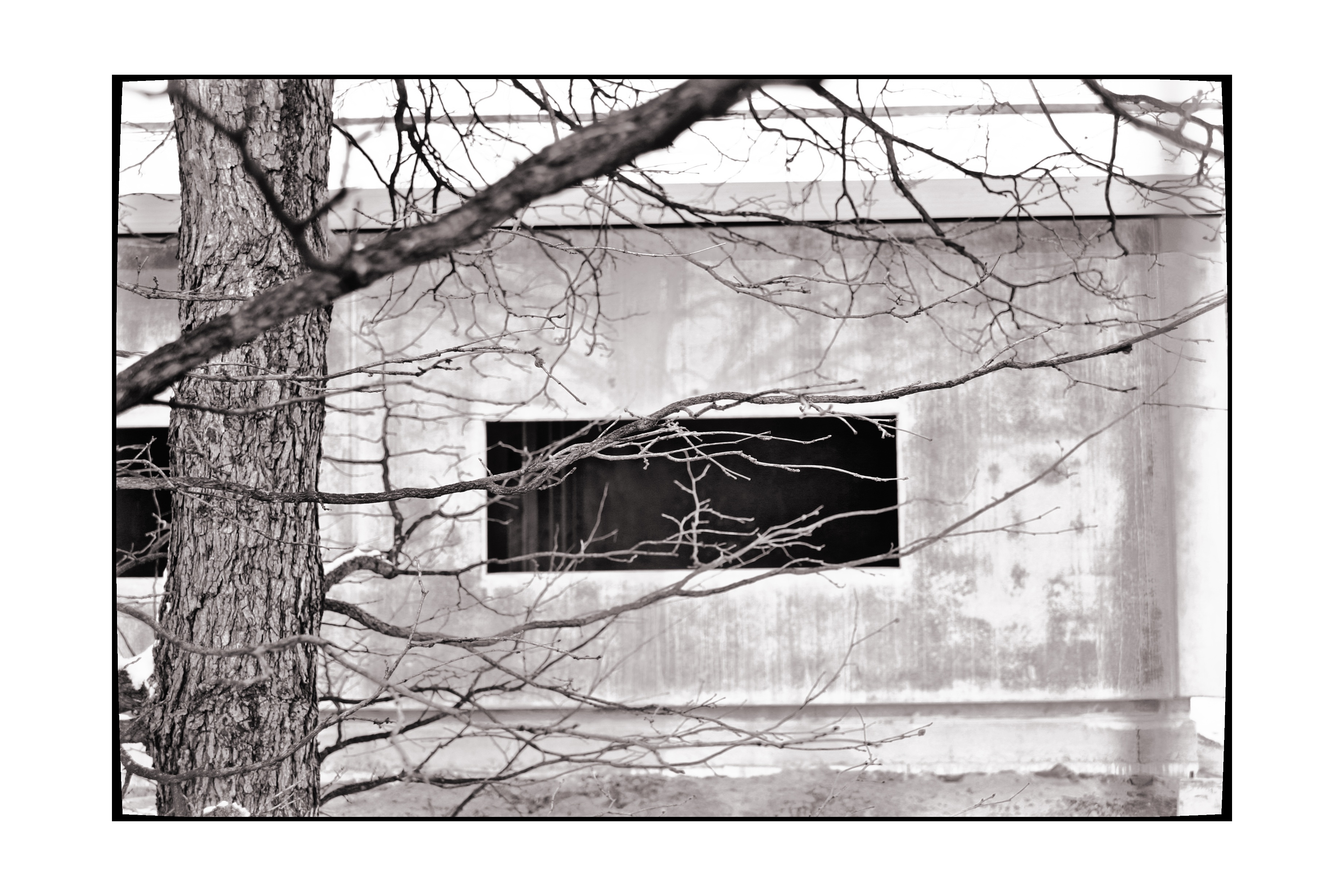 3686x2458 Free Images Tree, Black And White, Building, Concrete, Sketch - Concrete Sketch