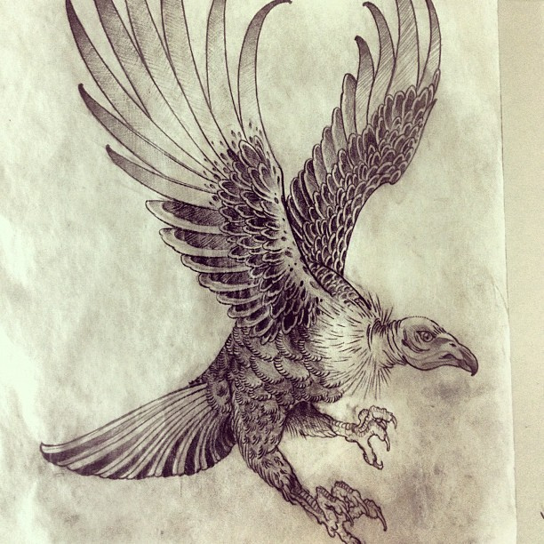 612x612 Condor Sketch For Next Week. Never Not - Condor Sketch