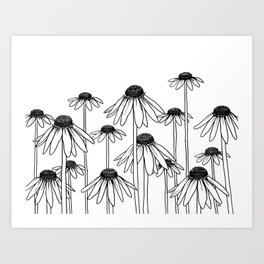 264x264 Echinacea Art Prints Society6 - Coneflower Sketch