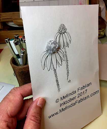 421x504 Inktober Coneflowers Melinda Fabian Illustrator - Coneflower Sketch
