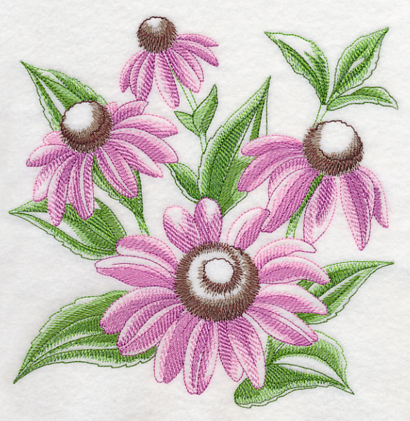 586x601 Machine Embroidery Designs - Coneflower Sketch