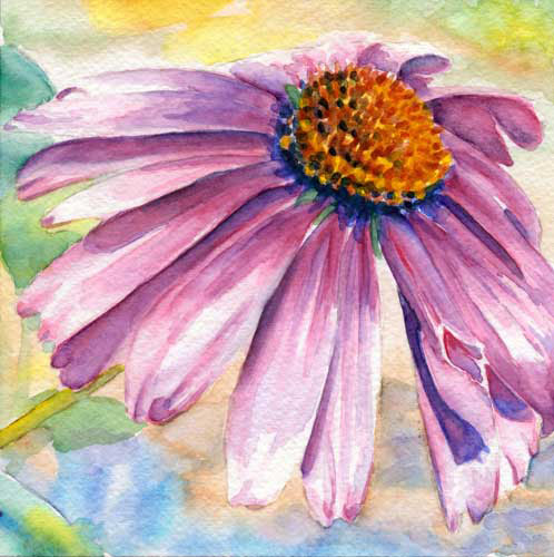 498x500 Bluebird Hill Coneflower Watercolor Sketch - Coneflower Sketch