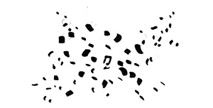 300x152 Confetti Words, Pictures, Humor - Confetti Sketch