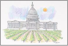 233x159 District Art Collection Congressman Mike Thompson - Congress Sketch