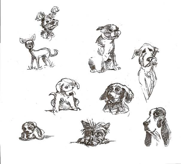 605x548 Love Them Doggies! I Love The Energy Of The Quick Sketch! All - Congress Sketch