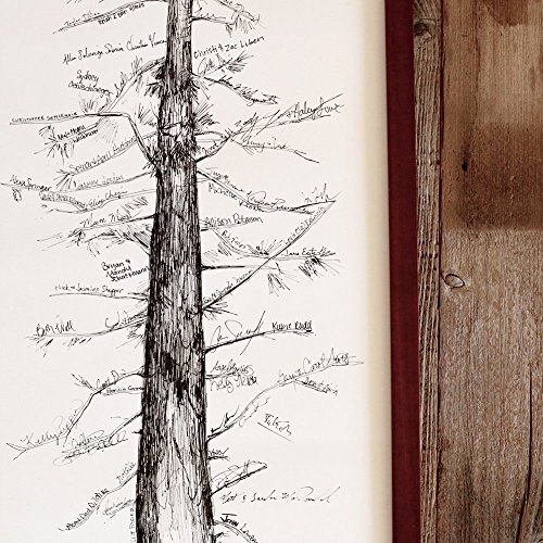 500x500 Drawn Tree Conifer - Conifer Sketch
