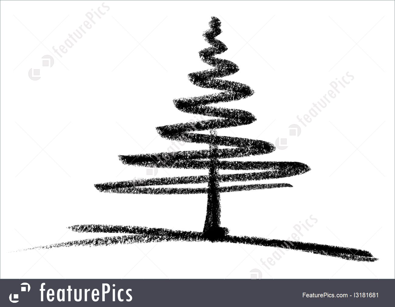 1300x1011 Plants Conifer Sketch - Conifer Sketch