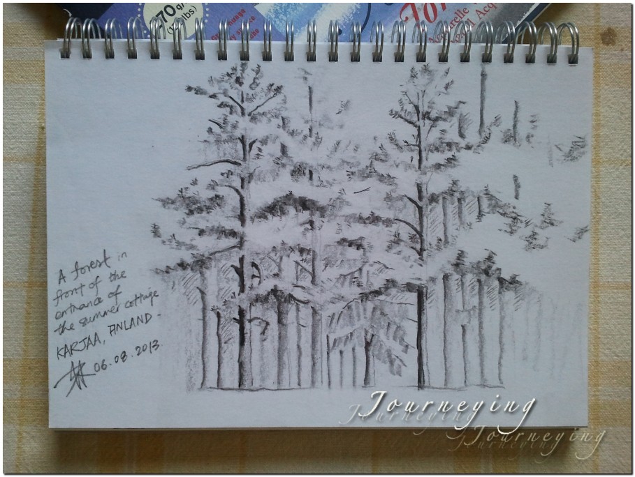 909x684 Sketch, Karjaa, Conifer Forest Journeying - Conifer Sketch