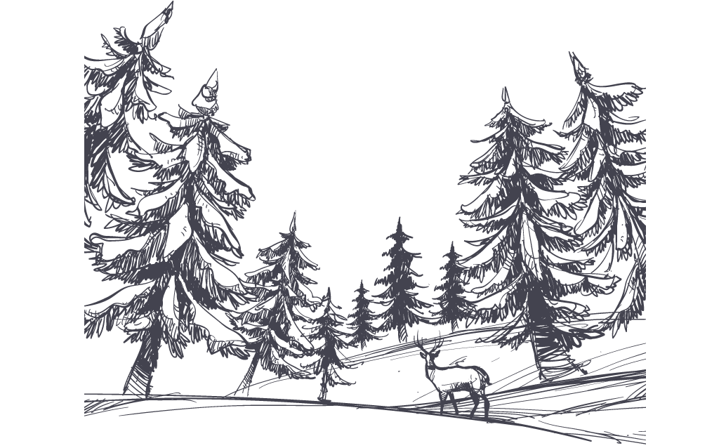 1034x638 Drawing Shulin District - Conifer Sketch