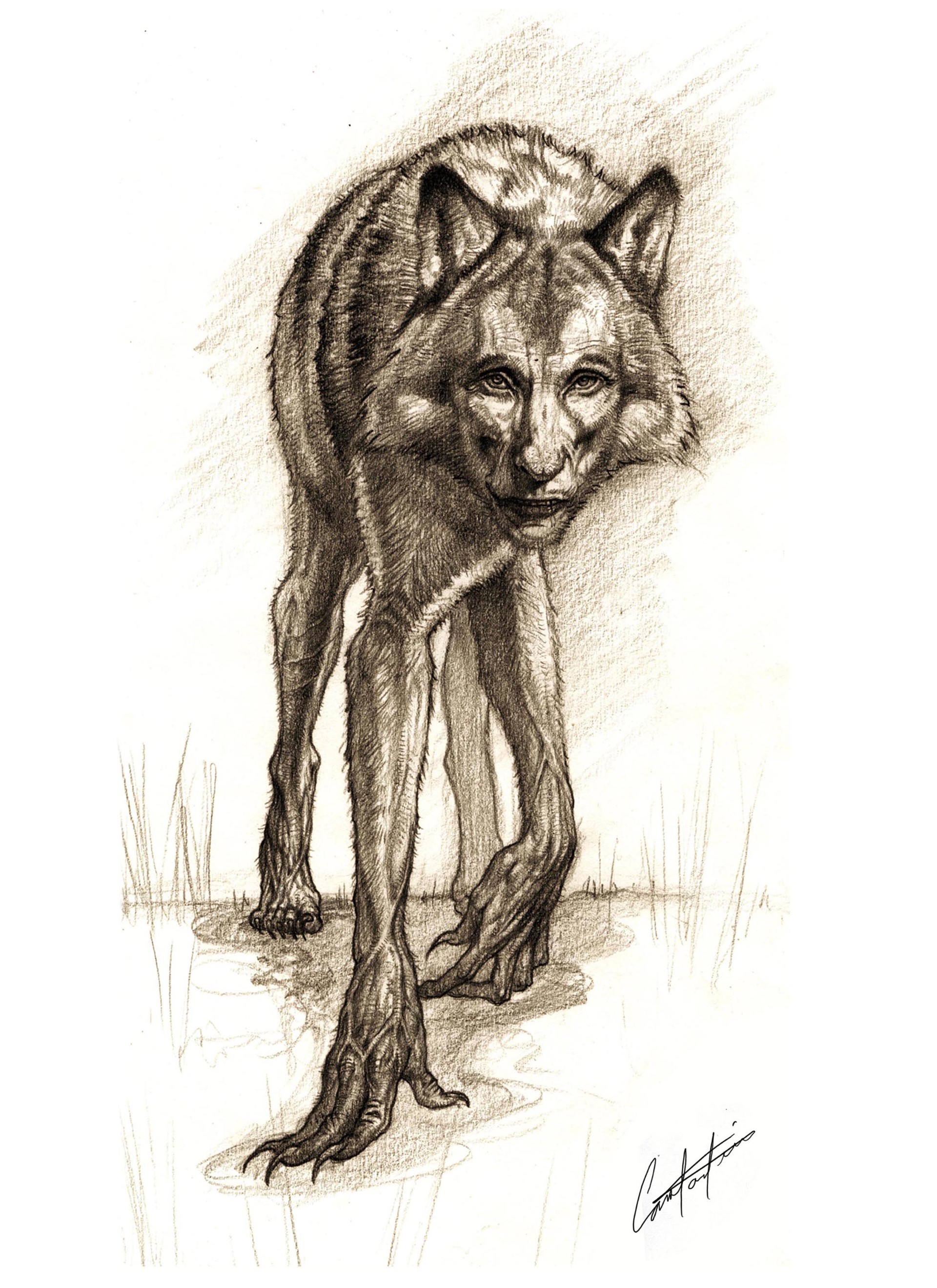 1920x2640 Artstation - Constantine Sketch