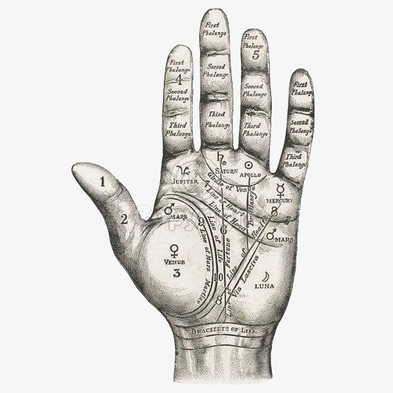 564x564 Palm, Constellation, Sketch Png Image And Clipart For Free Download - Constellation Sketch