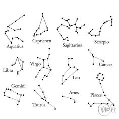 236x236 Astrology Constellation Tatoos - Constellation Sketch