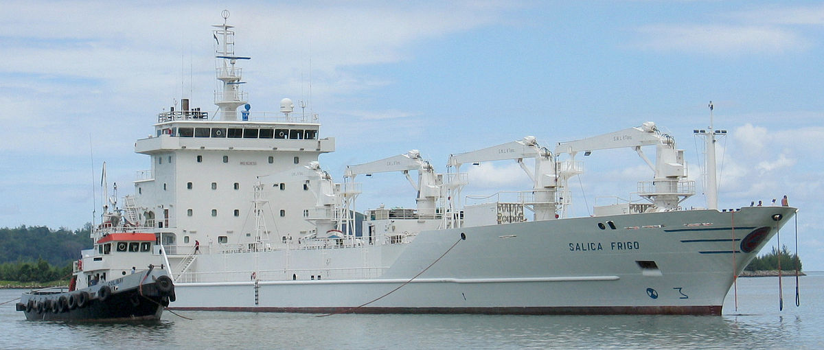 1200x510 Reefer Ship - Container Ship Sketch