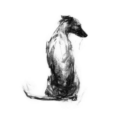 480x480 Paintmydog Dog Art Contemporary Dog Portraits - Contemporary Sketches