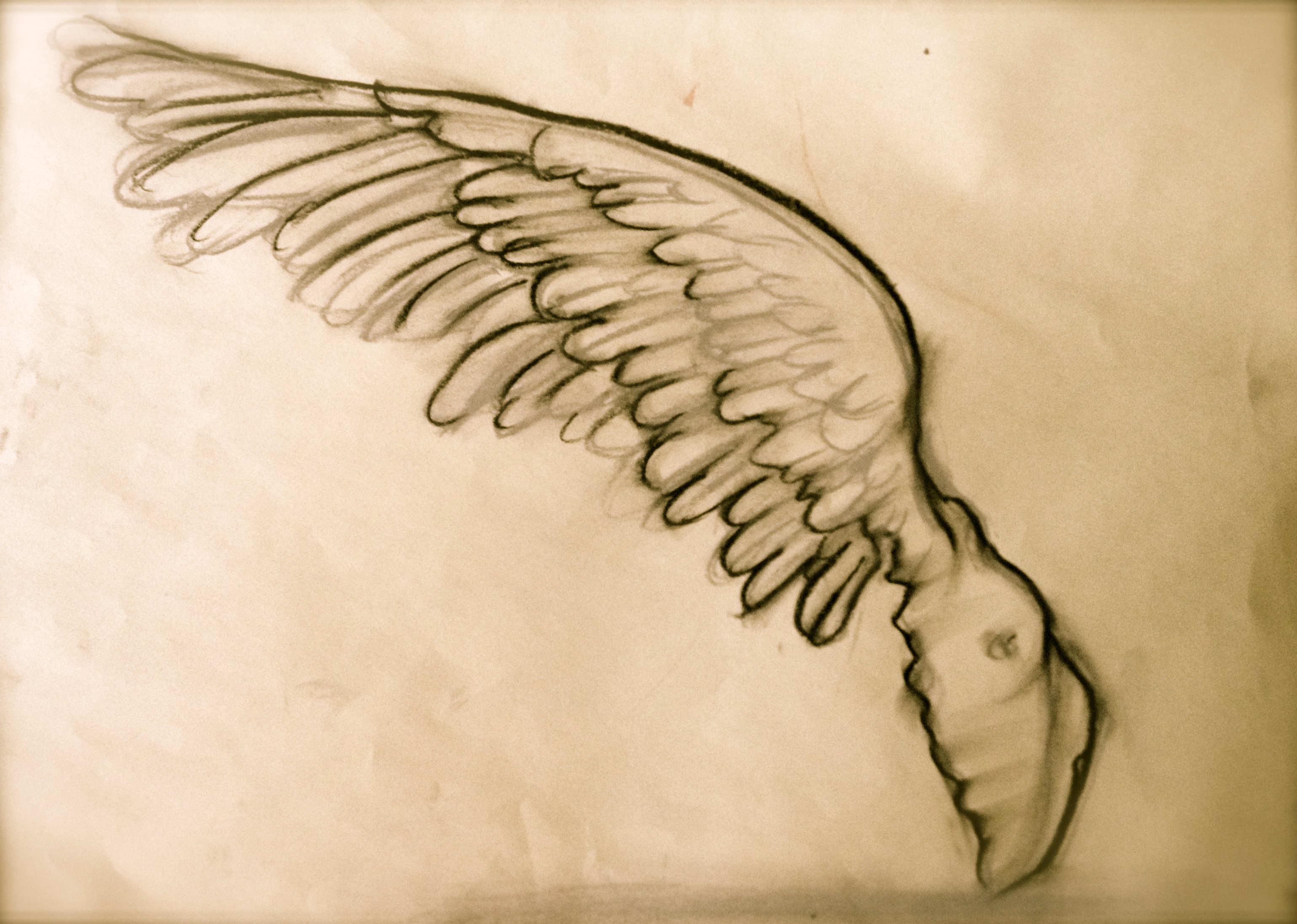 3079x2194 Contemporary Art Natasha Von Art - Contemporary Sketches