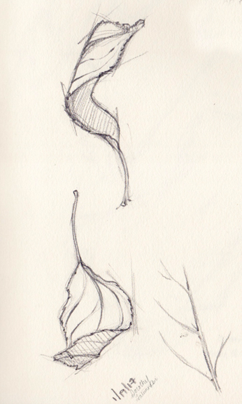 346x576 Contour Line Drawing Of Organic Forms Dorothy Fatunmbi Medical - Contour Line Sketch