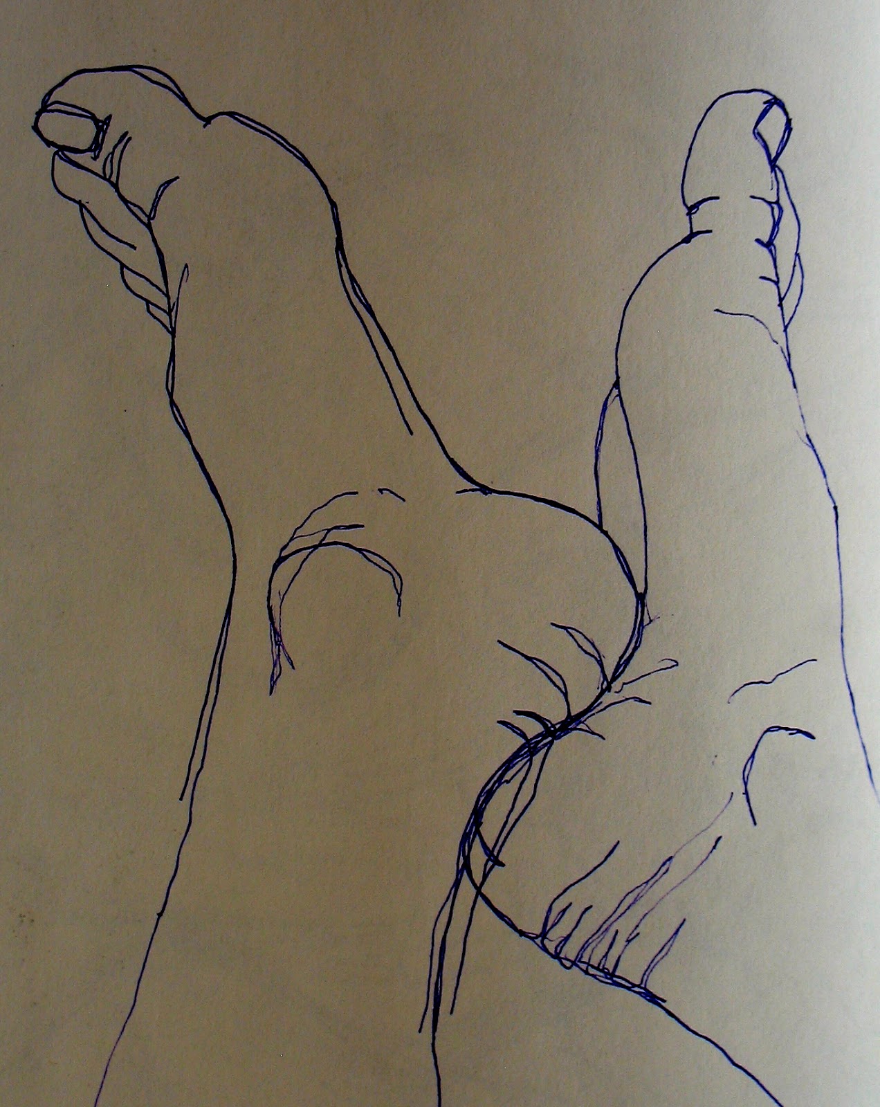 1272x1600 The Painted Prism Sketchbook Assignment - Contour Sketch