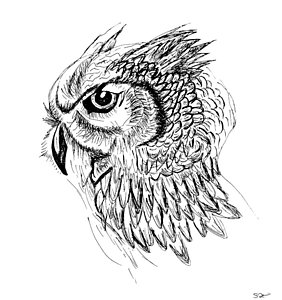 282x300 High Contrast Drawings Fine Art America - Contrast Sketch