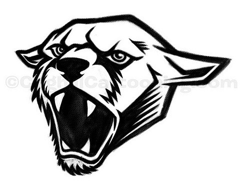 500x377 High Contrast Puma Mascot Sketch (Version 03) Working - Contrast Sketch