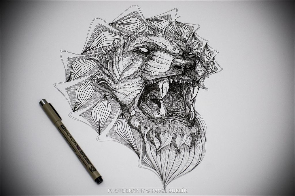 1024x683 White Lion (Pajus79) Tags Nikon D80 Black White Bw Light Shadow - Contrast Sketch