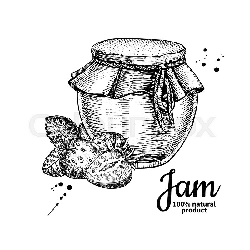 800x800 Strawberry Jam Glass Jar Vector Drawing. Fruit Jelly And Marmalade - Cookie Jar Sketch