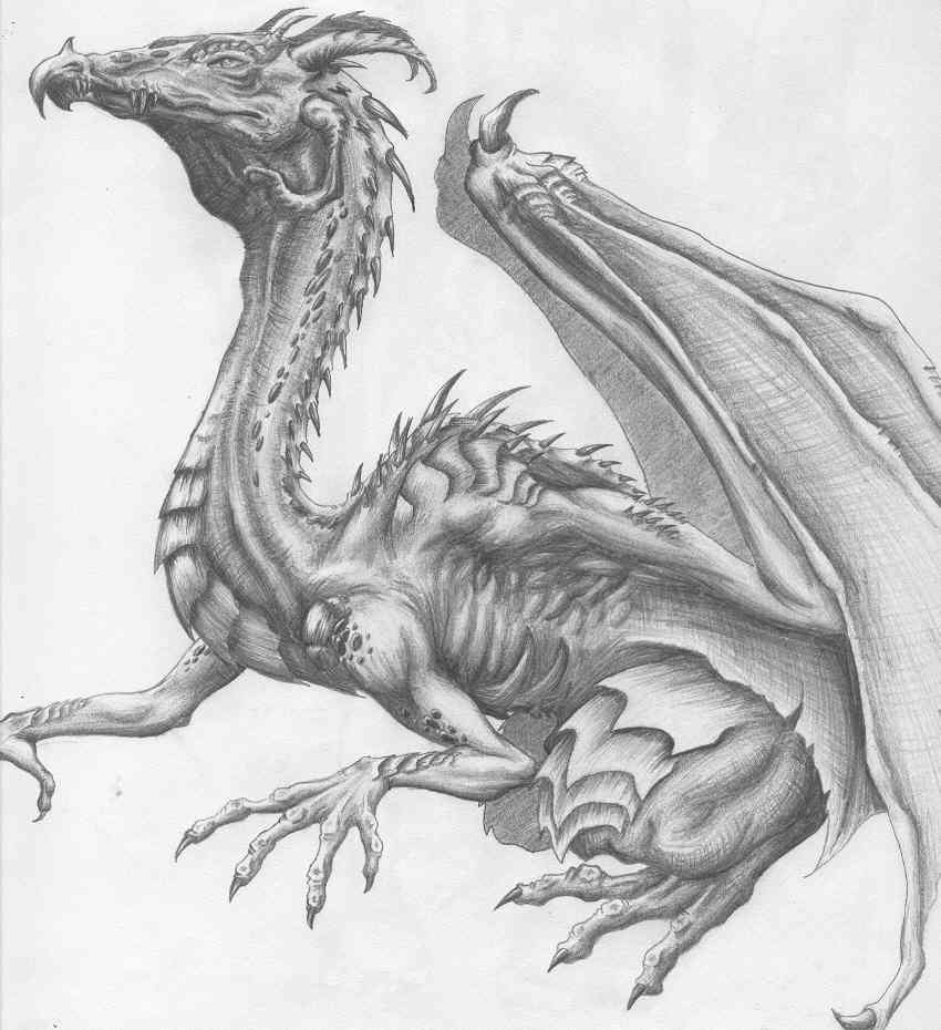 Cool Dragon Sketches at PaintingValley.com | Explore collection of Cool ...