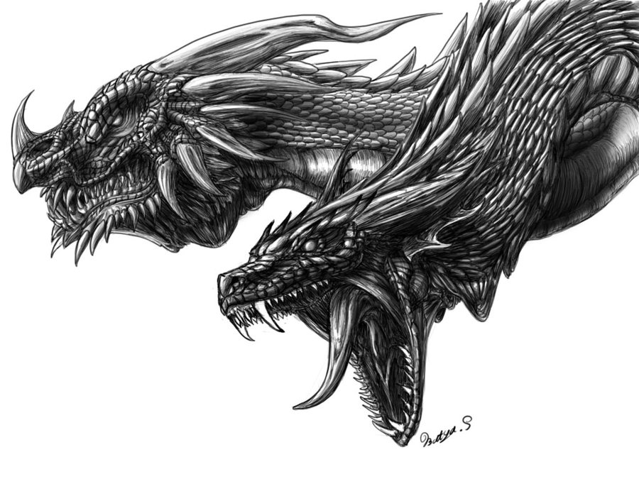 900x675 20 Awesome Dragon Drawings Top Design Magazine - Cool Dragon Sketches