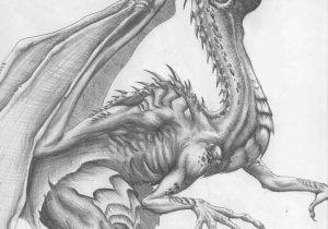 300x210 Pencil Drawings Of Dragons Cool Dragon Sketches Pencil Drawings - Cool Dragon Sketches