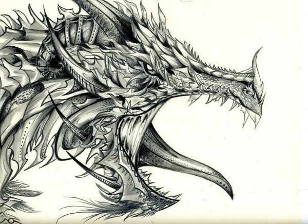 600x436 Pin By Kris M On Drawing Dragon, Cool Dragon - Cool Dragon Sketches