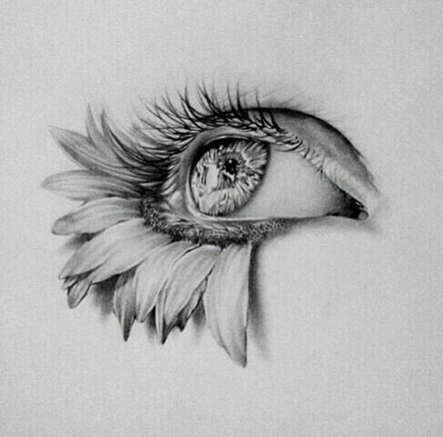 487x481 Art, Eye, Flowers, Drawing, Sketch Still Life - Cool Eye Sketch