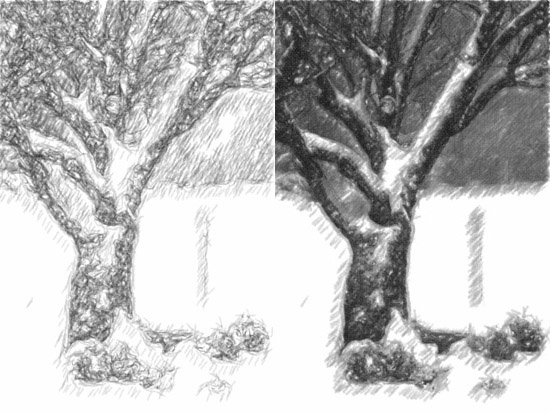 550x413 Pencil Art Photo Cool Pencil Sketches - Cool Sketch Art