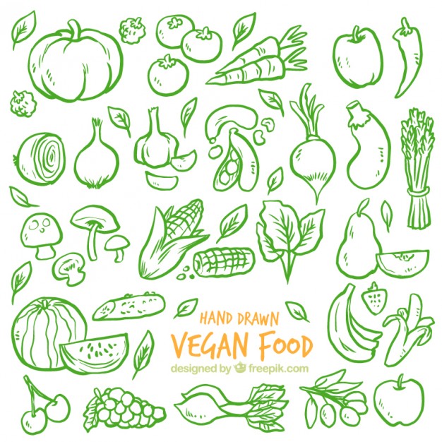 626x626 Fruits And Vegetables Vectors, Photos And Psd Files Free Download - Cool Sketch Backgrounds