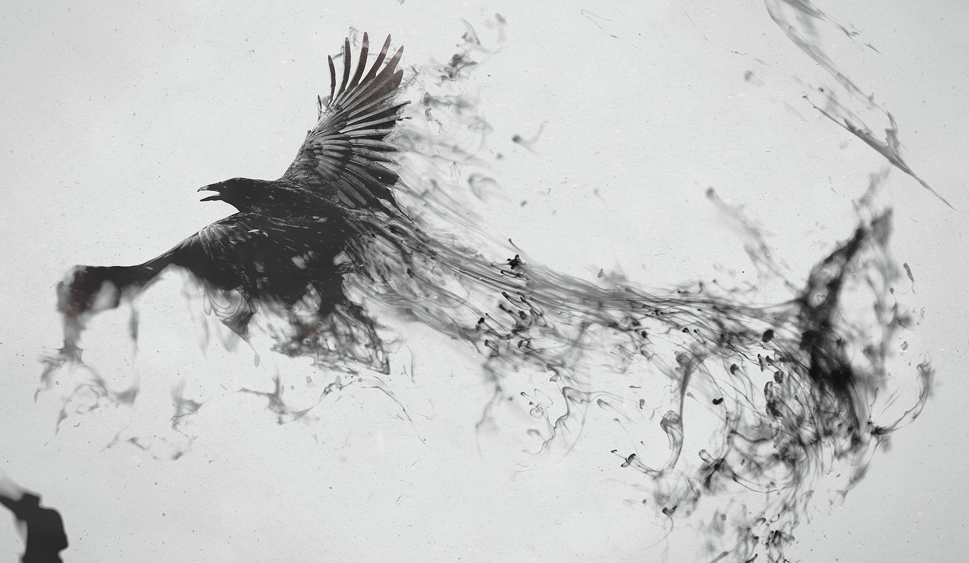 1920x1116 Wallpaper Artwork, Bird Of Prey, Eagle, Beak, Art, Feather, Wing - Cool Sketch Backgrounds