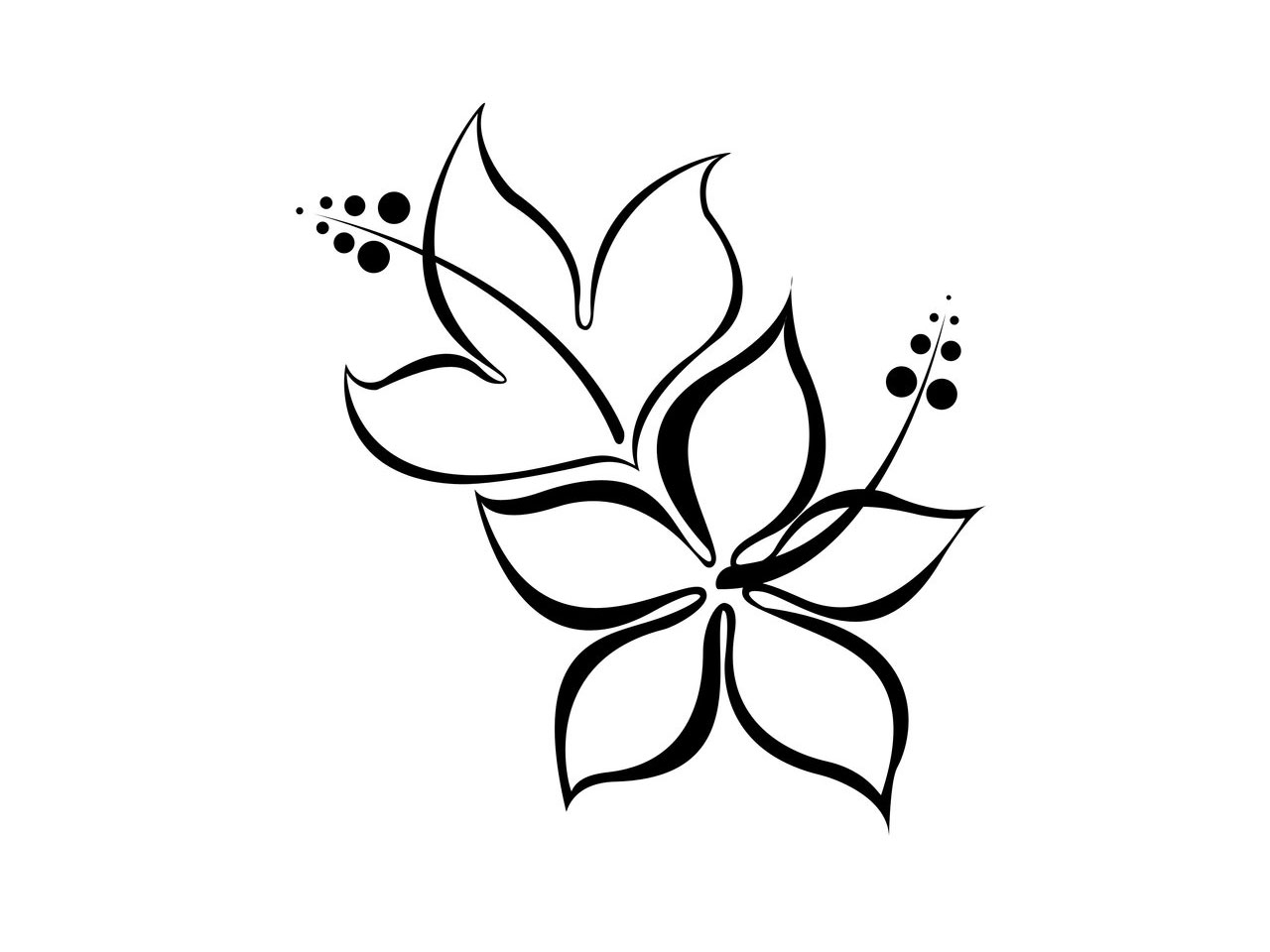 1280x960 Simple Flower Sketch Flowers Cool Easy Flower Designs Draw - Cool Sketch Designs