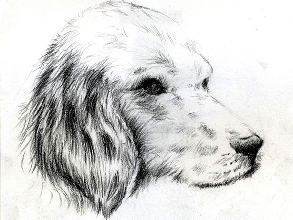 600x450 Awesome Drawing Ideas - Cool Sketch Ideas