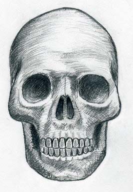 267x386 Draw Skulls Can Be This Easy - Cool Skull Sketches