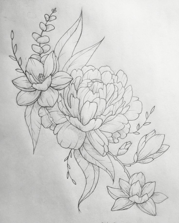 736x919 Flower Sketch Ideas Unique 25 Best Ideas About Flower Sketches On - Cool Tattoo Sketches