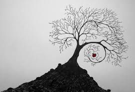 271x186 Image Result For Apple Tree Drawing Ink Tattoo - Cool Tree Sketches