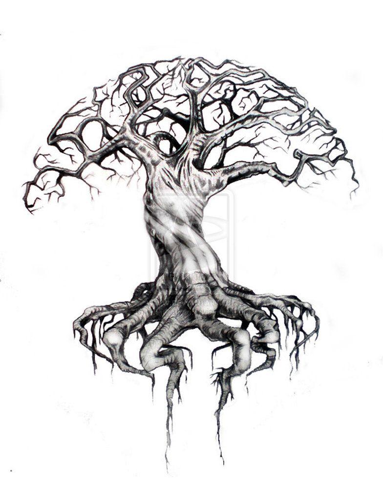 786x1017 Treeolife Tattoo Life Tattoos, Tattoos And Tattoo - Cool Tree Sketches