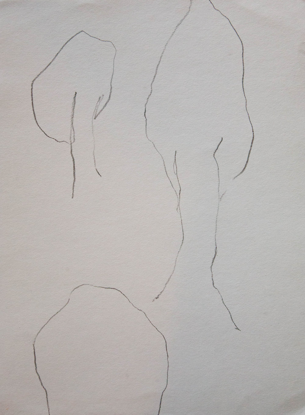 1000x1358 Drawings Asako Oono - Cool Tree Sketches