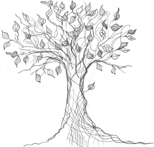 505x480 Guaymarjusu Dates Tree Drawings - Cool Tree Sketches
