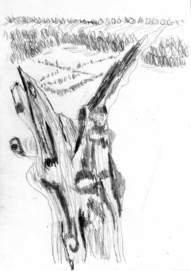 389x550 Keston Vale Tree Sketches Jabberworks - Cool Tree Sketches